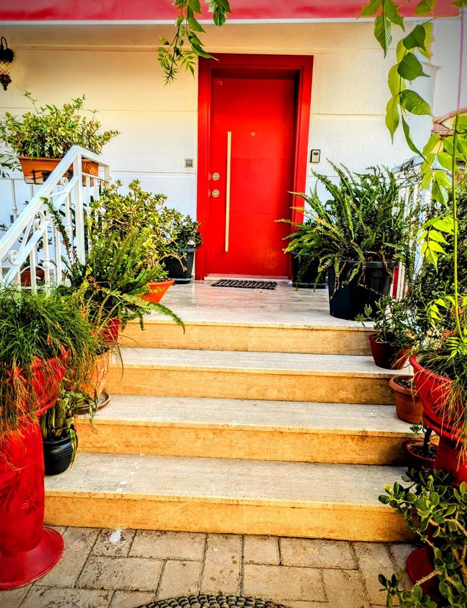 Villa Atlas 费特希耶 外观 照片