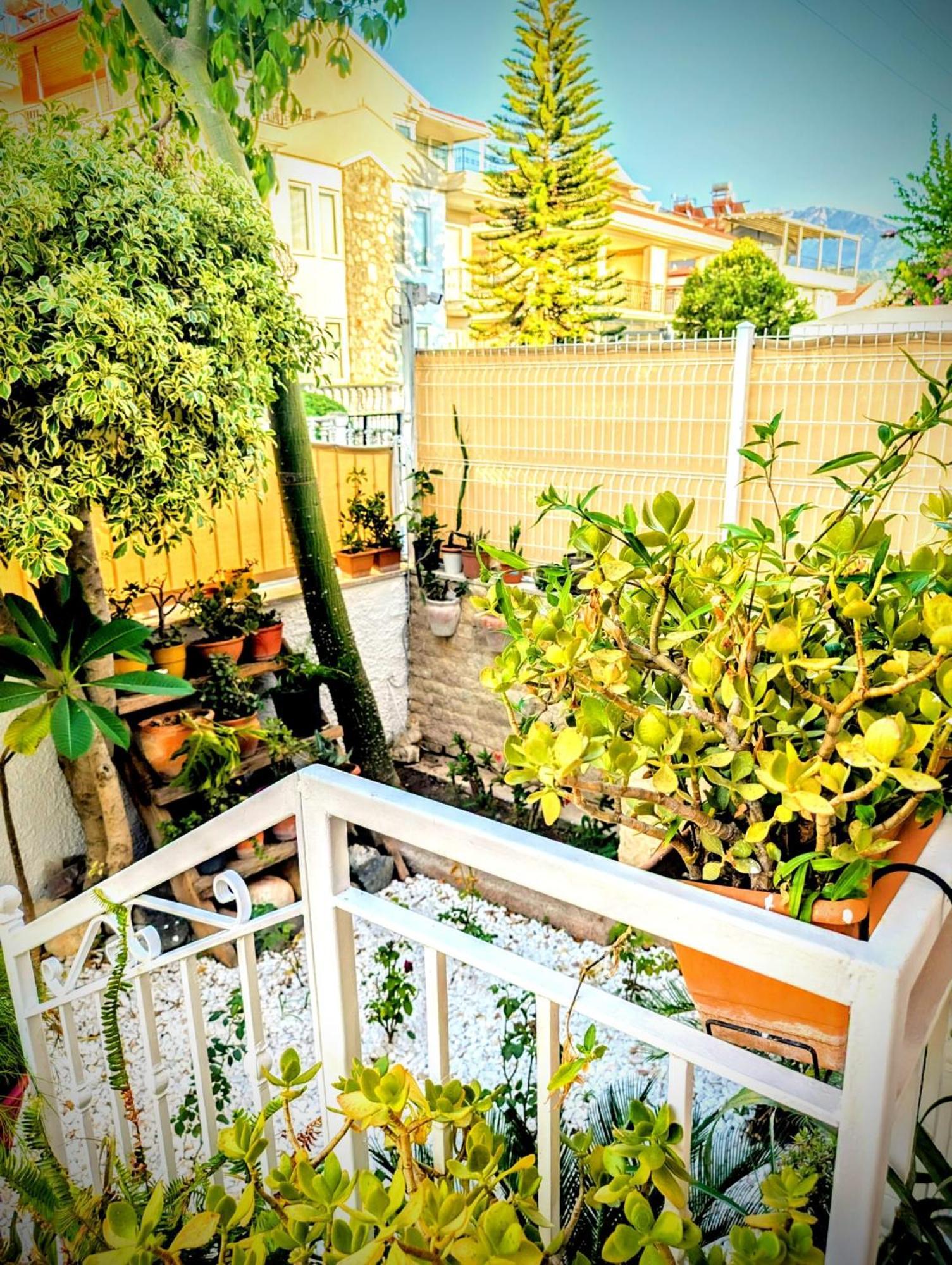 Villa Atlas 费特希耶 外观 照片